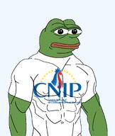 abs amphibian buff clothes france frog green_skin lips looking_at_you muscles nas:pepe national_centre_of_independents_and_peasants neutral pepe_the_frog politics strong transparent_background tshirt // 1494x1775 // 358.1KB