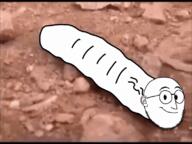 animated ext=gif full_body glasses hotdiggedydemon smile soyjak stubble variant:weirdpenis worm // 800x600 // 4.9MB