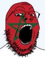 country flag glasses morocco open_mouth soyjak star stubble variant:gapejak // 1291x1685 // 688.1KB