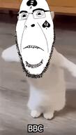 animal animated bald bbc biting_lip blacked cat dance ext=gif glasses irl irl_background slut_for_bbc soyjak spade spadeson stubble subvariant:hornyson subvariant:spadeson tattoo text variant:cobson // 211x373 // 1.8MB