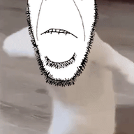 animal animated bald bbc biting_lip blacked cat dance ext=gif glasses irl irl_background slut_for_bbc soyjak spade spadeson stubble subvariant:hornyson subvariant:spadeson tattoo text variant:cobson // 211x373 // 1.8MB