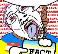 ack bloodshot_eyes crying hair hanging jubille_(user) meta:namefags rope suicide tranny variant:bernd variant:gapejak // 768x719 // 92.9KB