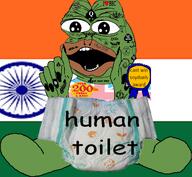 diaper flag:india frog frognigger frogposter queen_of_spades variant:cobson // 1271x1175 // 980.9KB