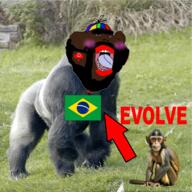 arrow artist:bulgarian beard black_skin bloodshot_eyes brazil ear evolution gorilla irl_background joels_alterego monkey open_mouth propeller_hat queen_of_hearts soyjak subvariant:kranos text thick_eyebrows unibrow variant:impish_soyak_ears // 1204x1204 // 2.1MB