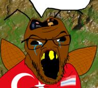 armenia atom brain cockroach flag:armenia flag:turkiye garf_(user) nigger poop rent_free roach slopjak speech_bubble turkiye turkroach tvrkicwvrriorforyuo variant:feraljak // 1500x1354 // 1.6MB