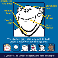 ear infographic knowyourswede multiple_soyjaks smile soyjak stubble swedish_win text variant:impish_soyak_ears // 1200x1600 // 344.7KB