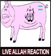 allah allah_pidoras allahu_akbar gay map_(pedophile) pedophile pig tranny trans_rights_are_muslim_rights transgender_flag // 501x555 // 32.4KB