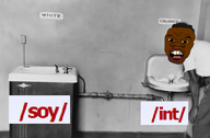 1950 black_skin fountain hair nigger segregation subvariant:feralnigger teeth variant:feraljak water wide_nose // 500x327 // 80.8KB