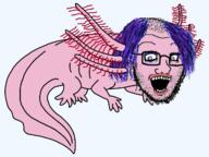 animal axolotl crazed full_body glasses hair looking_down makeup open_mouth pink_skin purple_hair soyjak stubble subvariant:crazed_troonjak subvariant:soyak_(crazed) tranny variant:soyak // 640x480 // 72.8KB