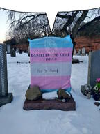 2019 bloodshot_eyes crying dani_fisher flag:transgender_pride_flag glasses grave irl_background january january_4 open_mouth purple_hair rock snow soyjak speech_bubble speech_bubble_empty tranny variant:bernd // 768x1024 // 280.4KB