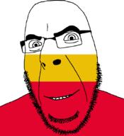 country flag flag:lesser_poland full_head glasses hair lesser_poland looking_at_you open_mouth poland smile soyjak stubble teeth text variant:cobson voivodeship // 775x849 // 20.2KB