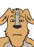 alfred_alfer brown_skin closed_mouth dog ear eyebrows forehead_lines furfag furry nose subvariant:neutralplier variant:markiplier_soyjak // 759x1067 // 99.7KB