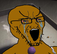 bloodshot_eyes brown_skin cookie crying glasses shrek soyjak stretched_mouth stubble variant:soyak // 623x587 // 239.9KB