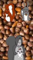 animal animated closed_mouth gabber glasses multiple_soyjaks open_mouth soyjak squirreal squirrel stubble subvariant:feralsquirrel subvariant:wholesome_soyjak subvariant:wholesome_squirrel tail tongue variant:bernd variant:cobson variant:feraljak variant:gapejak variant:markiplier_soyjak variant:nojak variant:unknown video // 480x854, 40.7s // 8.0MB