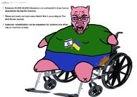 2023 amputee august august_2 closed_eyes crying ear flag flag:israel flag:ukraine glasses hohol israel jews kike open_mouth pig pigger soyjak stubble text ukraine variant:rupturejak wheelchair // 2100x1500 // 801.9KB