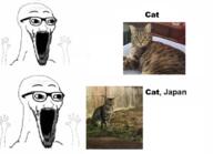 2soyjaks animal arm cat glasses hand hands_up irl open_mouth soyjak stubble subvariant:wewjak text thing_japanese variant:soyak // 680x491 // 319.1KB