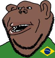 beard brazil brown_skin flag:brazil subvariant:impish_amerimutt variant:impish_soyak_ears // 598x628 // 41.4KB