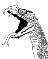 artist:crimsonvoidhydra1488 fangs glasses meta:tagme open_mouth snake snake_tongue variant:snakejak variant:unknown // 500x613 // 12.4KB
