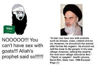 arab iran meta:bait sandnigger saudi_arabia shia variant:soyak // 1149x780 // 130.7KB