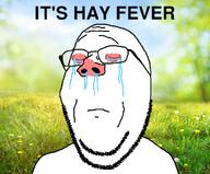 allergy closed_eyes crying flower glasses grass hay_fever irl_background its_over plant red_eyes red_nose runny_nose sad soyjak spring stubble subvariant:wholesome_soyjak text variant:gapejak // 1044x865 // 733.3KB