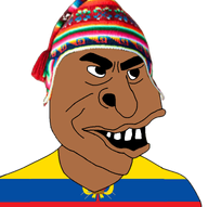 brown_skin ecuador ecuadorian handsome native variant:peruvianmutt // 768x763 // 196.2KB