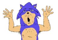 arm glasses hand hands_up open_mouth sega sonic sonic_the_hedgehog soyjak stubble variant:unknown video_game // 585x403 // 58.7KB