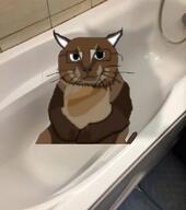 animal bath bathroom big_floppa cat colorful shadow tole_tole_cat variant:catjak_(alternate) // 720x812 // 239.9KB