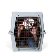 cage crying torture variant:chudjak // 589x612 // 129.5KB