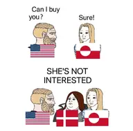 blond blond_beard blue_eyes chad comic denmark fat flag flag:denmark flag:greenland flag:united_states greenland nas:nordic_chad nas:wojak nas:yes_chad nordic_chad star_(symbol) text trad_wife united_states white_skin // 1080x1065 // 156.1KB