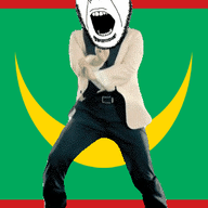 angry animated country crescent dance flag flag:mauritania full_body gangnam_style glasses irl mauritania open_mouth soyjak star_and_crescent stubble variant:cobson // 300x460 // 502.1KB