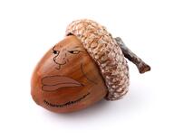 acorn irl oak_tree variant:meximutt // 1000x800 // 93.1KB