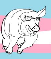 animal full_body glasses hohol open_mouth pig soyjak stubble tranny ukraine variant:unknown // 421x484 // 9.8KB