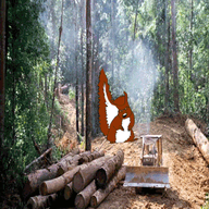 5soyjaks angel angry animal animated asian black_skin bloodshot_eyes clothes crying glasses hair hanging irl_background open_mouth soyjak stubble subvariant:feralsquirrel tail thumbnail_bait tongue tranny trend:squirreljakking tshirt variant:bernd variant:chudjak variant:feraljak wing yellow yellow_skin yellow_teeth // 300x400 // 4.0MB