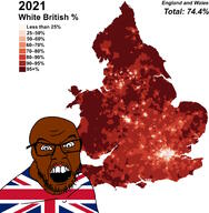 brown_skin flag glasses statistics stubble text united_kingdom variant:feraljak // 2009x2048 // 1.4MB