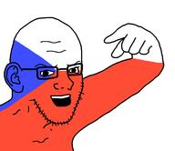 arm czechia ear flag flag:czechia glasses hand open_mouth pointing soyjak stubble variant:girugamesh // 1130x978 // 34.6KB