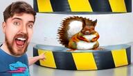 glasses hydraulic_press irl mr_beast open_mouth pointing squirrel variant:feraljak // 687x389 // 312.7KB