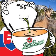 animal beer chamoi cup drinking ear flag irl_background mug sip slovakia soyjak stubble subvariant:impdrink variant:impish_soyak_ears // 498x501 // 272.1KB