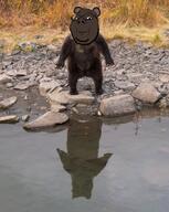 bear ear irl irl_background smile subvariant:wholyjak variant:gapejak // 1080x1352 // 499.4KB