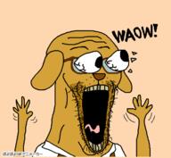 animal animated clothes dog ear eyes_popping glasses hand hands_up janny open_mouth orange_background poyopoyo pyokopyoko snout soyjak stubble subvariant:waow suspenders text tongue variant:soyak waow yellow_skin yellow_teeth // 400x369 // 258.8KB