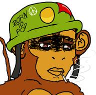 animal bloons bloons_td6 brown_eyes cigarette closed_mouth disappointed ear helmet military monkey smoke smoking soyjak tail text variant:chudjak video_game war // 782x770 // 28.6KB