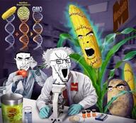 corn cornson gmo potato schizo science subvariant:chudjak_front tomato variant:chudjak variant:soyak // 736x665 // 92.0KB