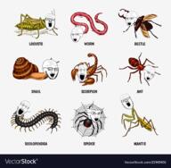 ant arachnid beetle brainless brainlet bug crazed glasses locusts mantis multiple_soyjaks open_mouth scolopendra scorpion snail soyjak spider stubble subvariant:soyak_(crazed) text variant:a24_slowburn_soyjak variant:markiplier_soyjak variant:soyak worm // 1000x980 // 690.7KB