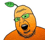 food froot froot_(user) fruit orange orange_skin series:fruiterz! variant:shotjak wojak // 417x375 // 155.5KB