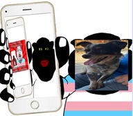 chihuahua_(dog_breed) fat flag:nazi_germany flag:transgender_pride_flag showing_something subvariant:branigger vantablack_skin variant:bernd variant:brandon // 1179x1024 // 196.1KB