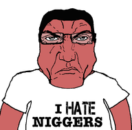 angry clothes hair i_hate i_hate_niggers punisher_face red_skin subvariant:chudplier subvariant:hitler_lover subvariant:science_lover text variant:chudjak variant:markiplier_soyjak white_shirt // 800x789 // 20.0KB