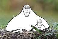 baby bird fat irl nest roost subvariant:neutralplier variant:markiplier_soyjak // 736x491 // 267.6KB