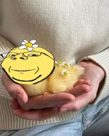 cute duck flower irl plant variant:gapejak // 512x640 // 165.6KB