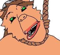 joe_mama joel_(user) muslims subvariant:trannyfur variant:bernd // 760x704 // 201.0KB