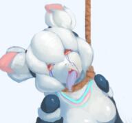 bloodshot_eyes crying hair hanging kiki_the_cyber_squirrel krita mascot open_mouth rope soy_parody suicide tongue tranny trend:squirreljakking variant:bernd white_hair // 768x719 // 372.5KB