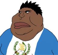 amerindian flag:guatemala guatemala indigenous subvariant:guatemalamutt variant:meximutt // 1133x1080 // 293.2KB